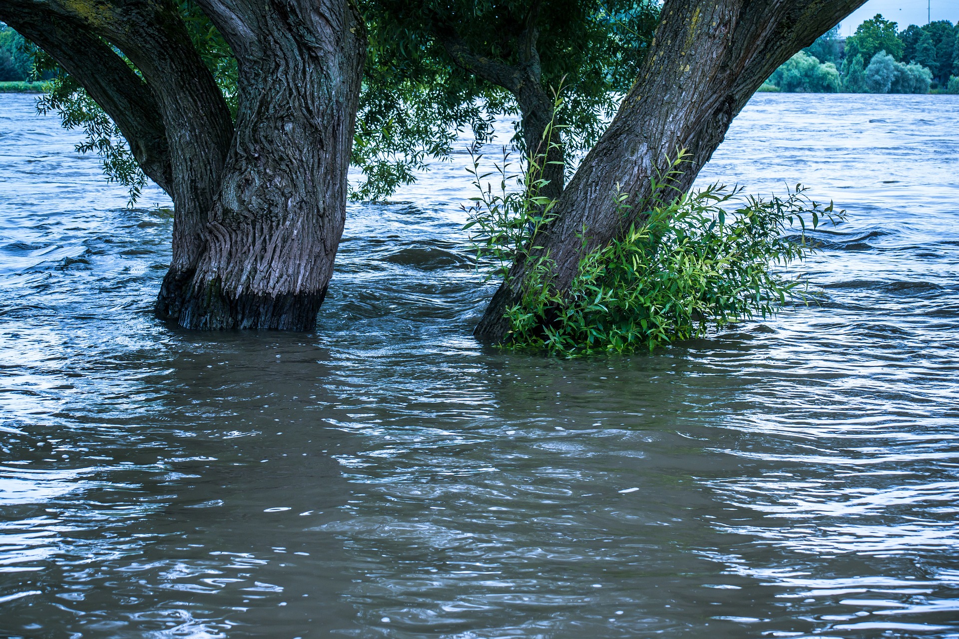 Hochwasser mit Bäumen in Deutschland