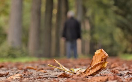 Einsamkeit Herbst Senioren Mann Park Spaziergang