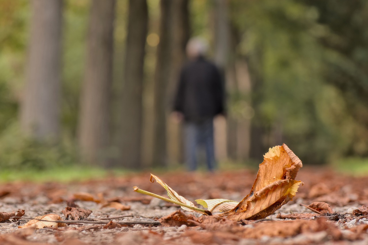 Herbsttag in Park: Einsamkeit ist laut Fachleuten ein immer größeres Problem.
